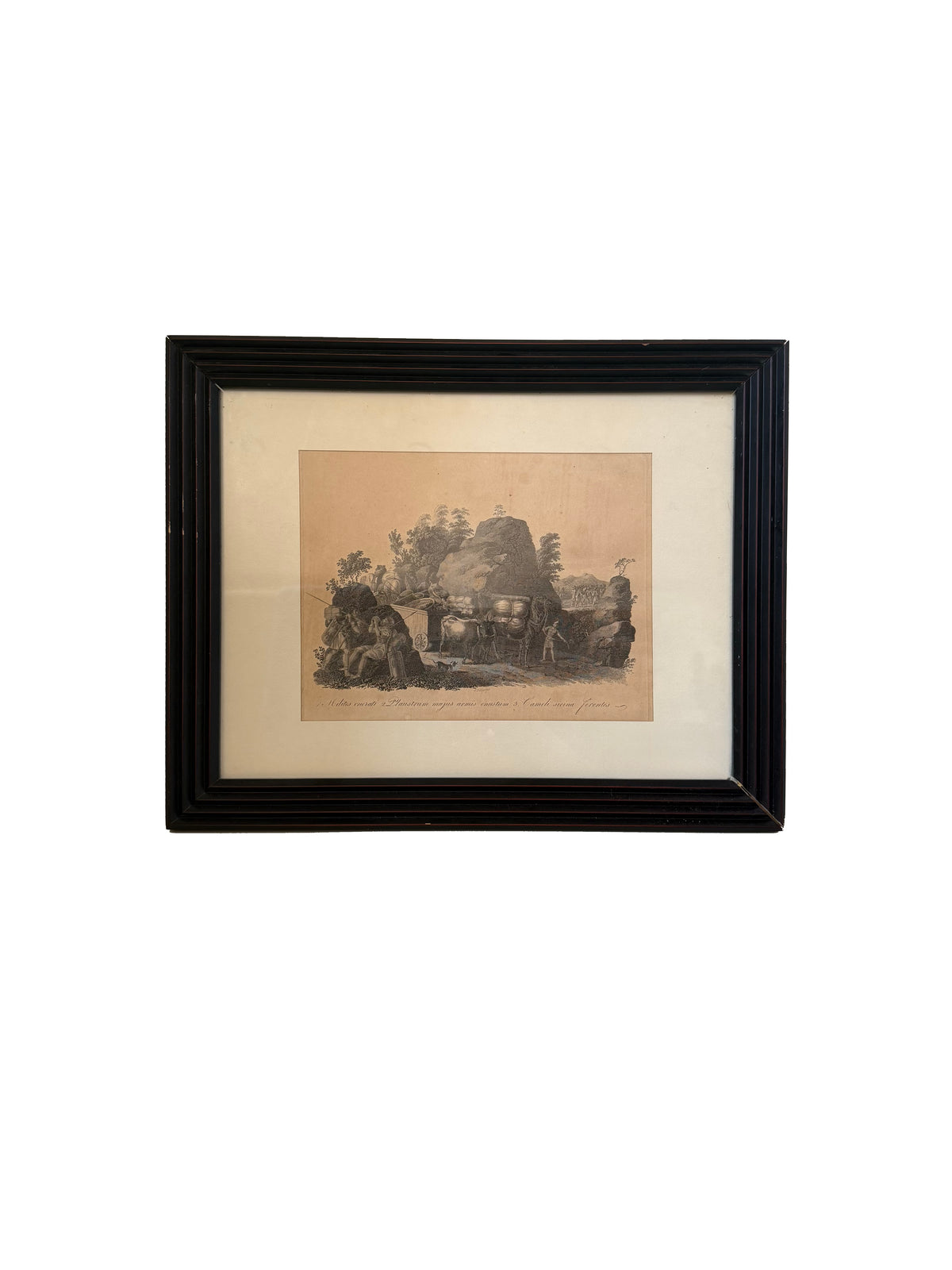 Vintage print black frame