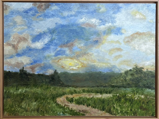 Sky study