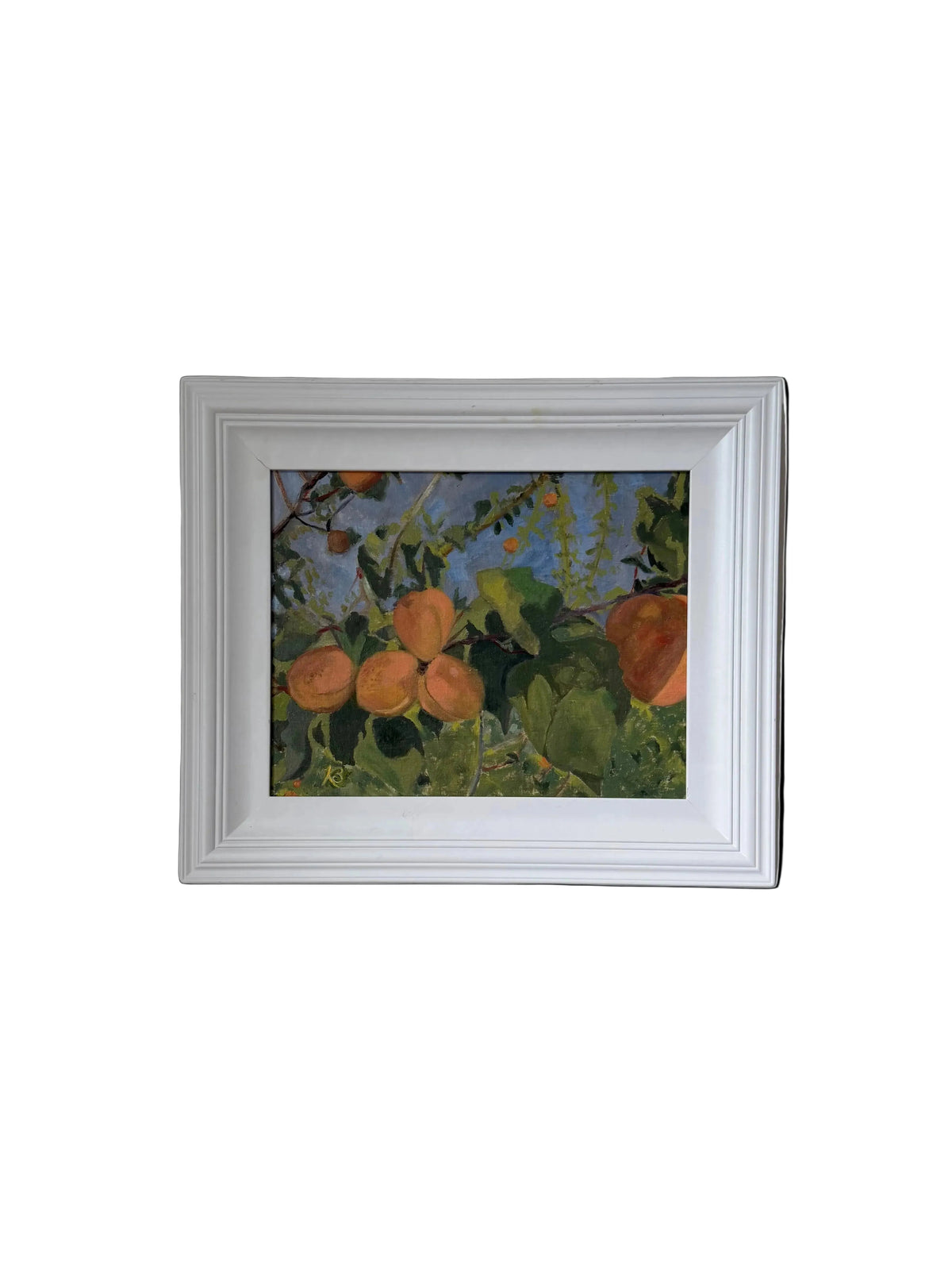 apricot tree